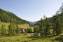 Wansing-Alm im Sommer
19-alm-panorama