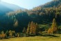 im Herbst auf der Alm
23-herbst-alm